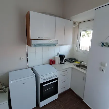 Apartment Violeta House